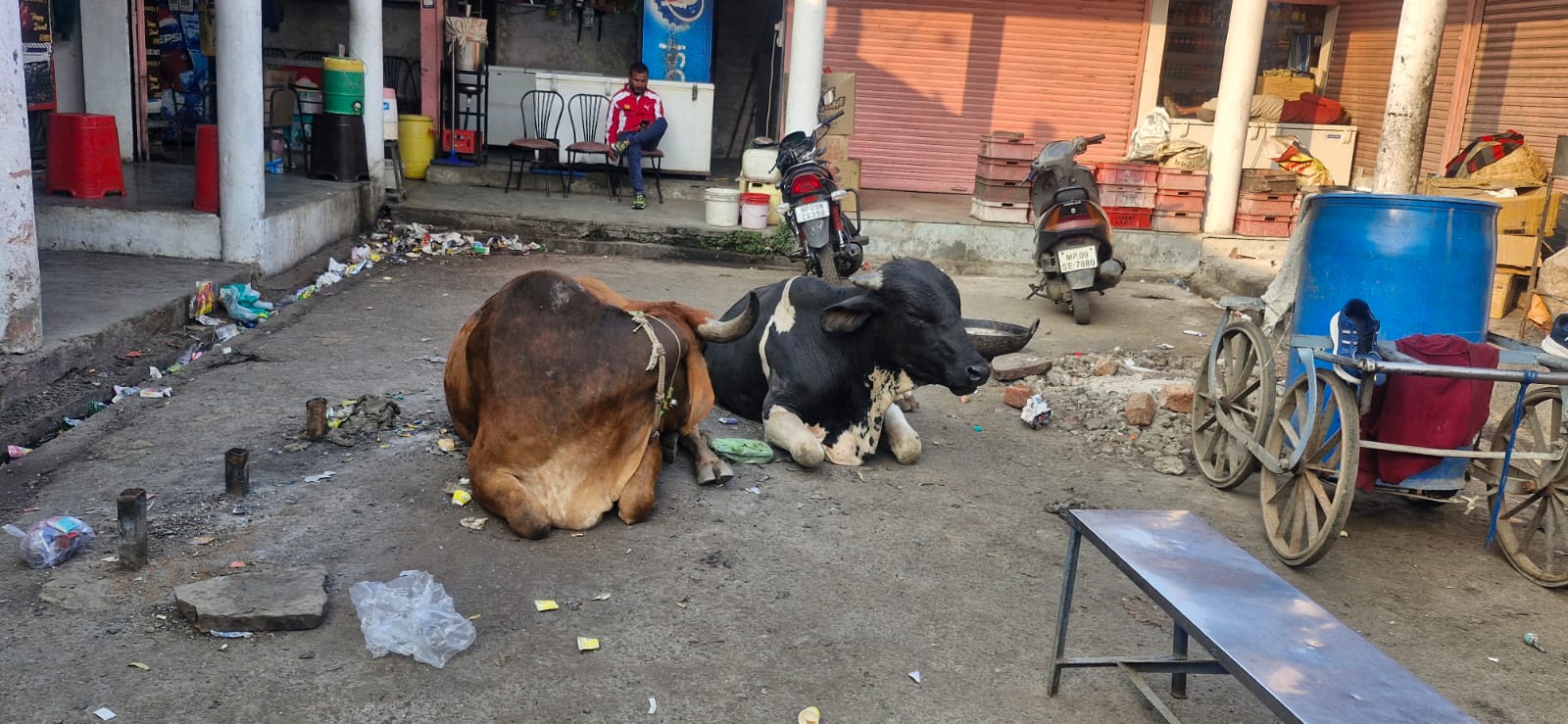 IMG 20260107 WA0213 IMG 20260107 WA0213