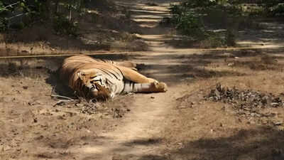 IMG 20260110 WA0038 1 IMG 20260110 WA0038 1