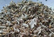 Police Crackdown on Narcotics : 56 किलो 700 ग्राम डोडा चुरा की तस्करी करते हुए 2 महिला एवं 1 युवक चढ़ें पुलिस के हत्थे!