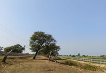 Trains to Get Speed Boost : रतलाम मंडल में ट्रैक साइड फेंसिंग से बढ़ेगी ट्रेनों की गति, संरक्षा एवं सुरक्षा!