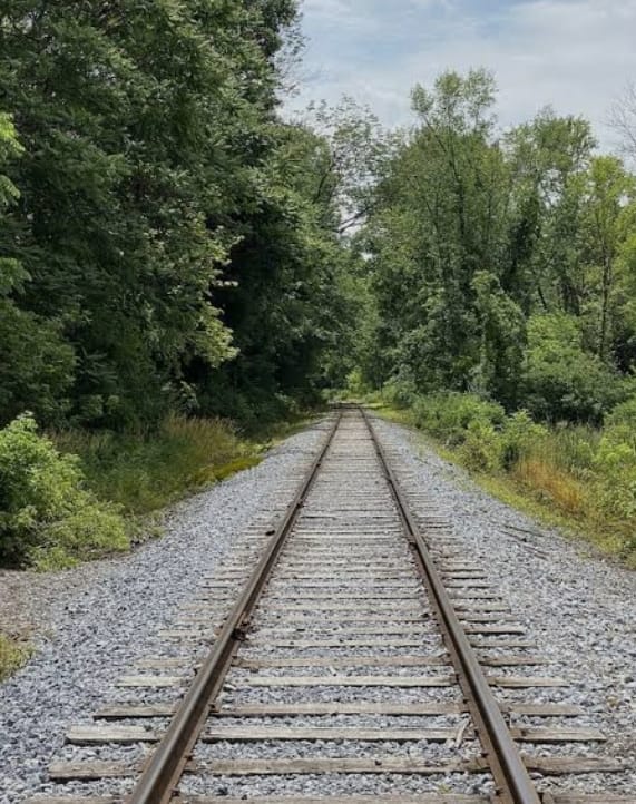 IMG 20260122 WA0196 IMG 20260122 WA0196