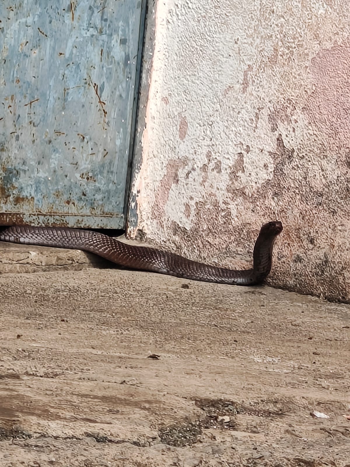 IMG 20260128 WA0048 IMG 20260128 WA0048