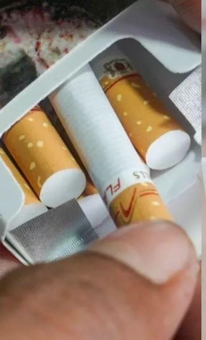 IMG 20260129 WA0183 IMG 20260129 WA0183