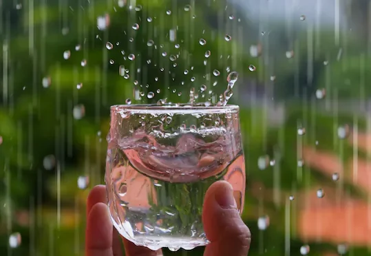 Rainwater-purity-201-1200-900-shutterstock