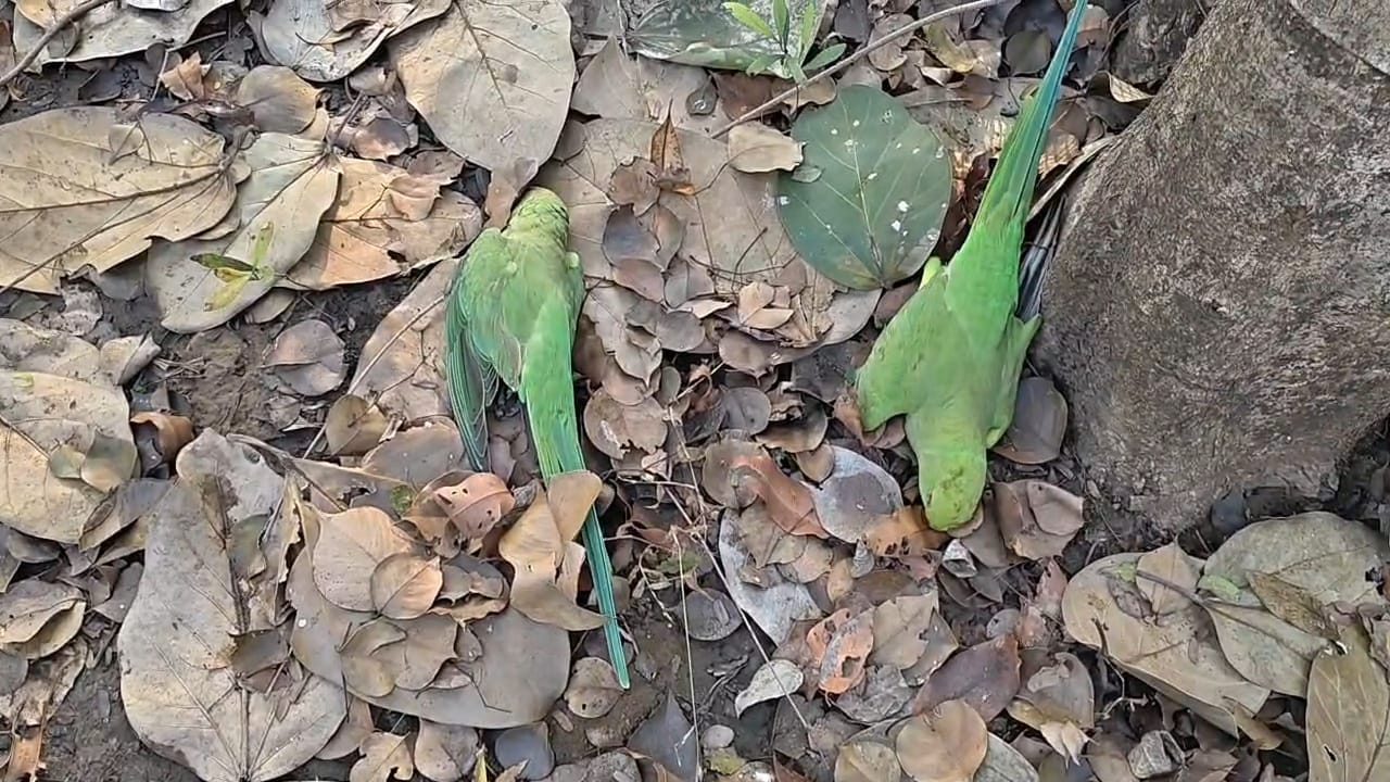 WhatsApp Image 2026-01-01 at 20.18.12