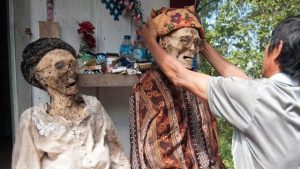 WhatsApp Image 2026 01 05 at 17.59.18