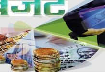 Demand for Budget Relief to Small Traders : छोटे व्यापारियों को बजट में राहत देने की मांग!