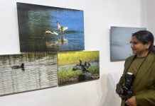 Dr. Shikha Ghanghoria’s Bird Photo Exhibition : पिता ने पहला कैमरा गिफ्ट किया, फिर तो शौक सिर चढ़ कर बोलने लगा