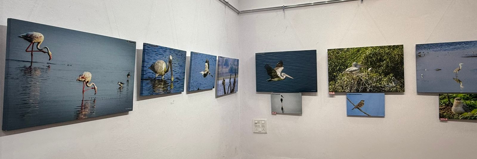 WhatsApp Image 2026 01 17 at 10.28.29