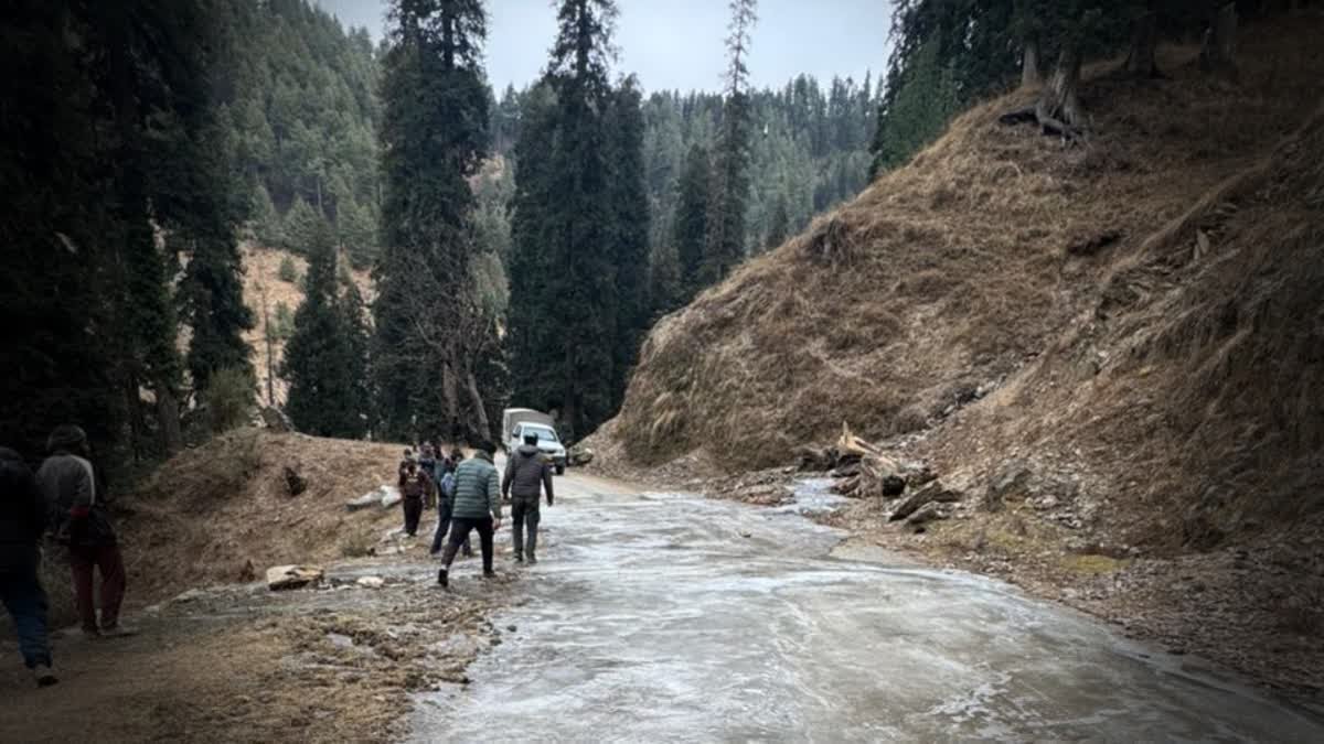 WhatsApp Image 2026-01-22 at 17.56.55