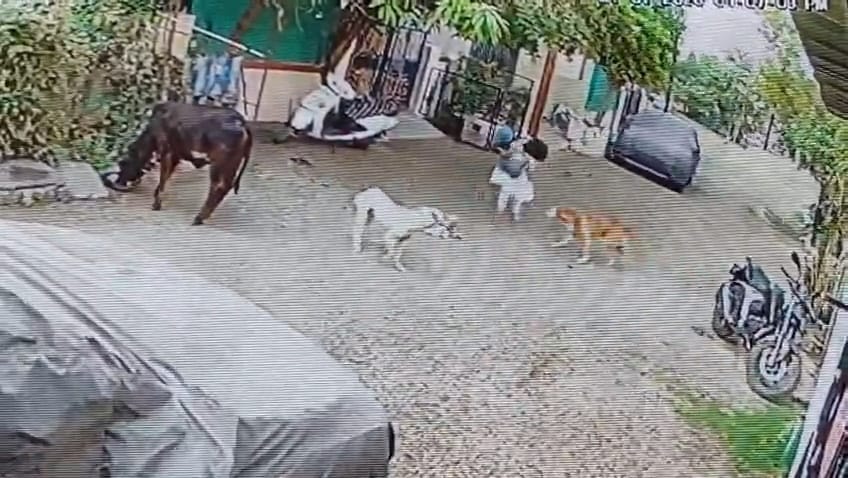 WhatsApp Image 2026 01 24 at 9.56.36 AM 1