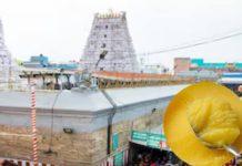 तिरुमला तिरुपति देवस्थानम घी मिलावट घोटाला: CBI-SIT की फाइनल चार्जशीट, 36 आरोपी नामजद