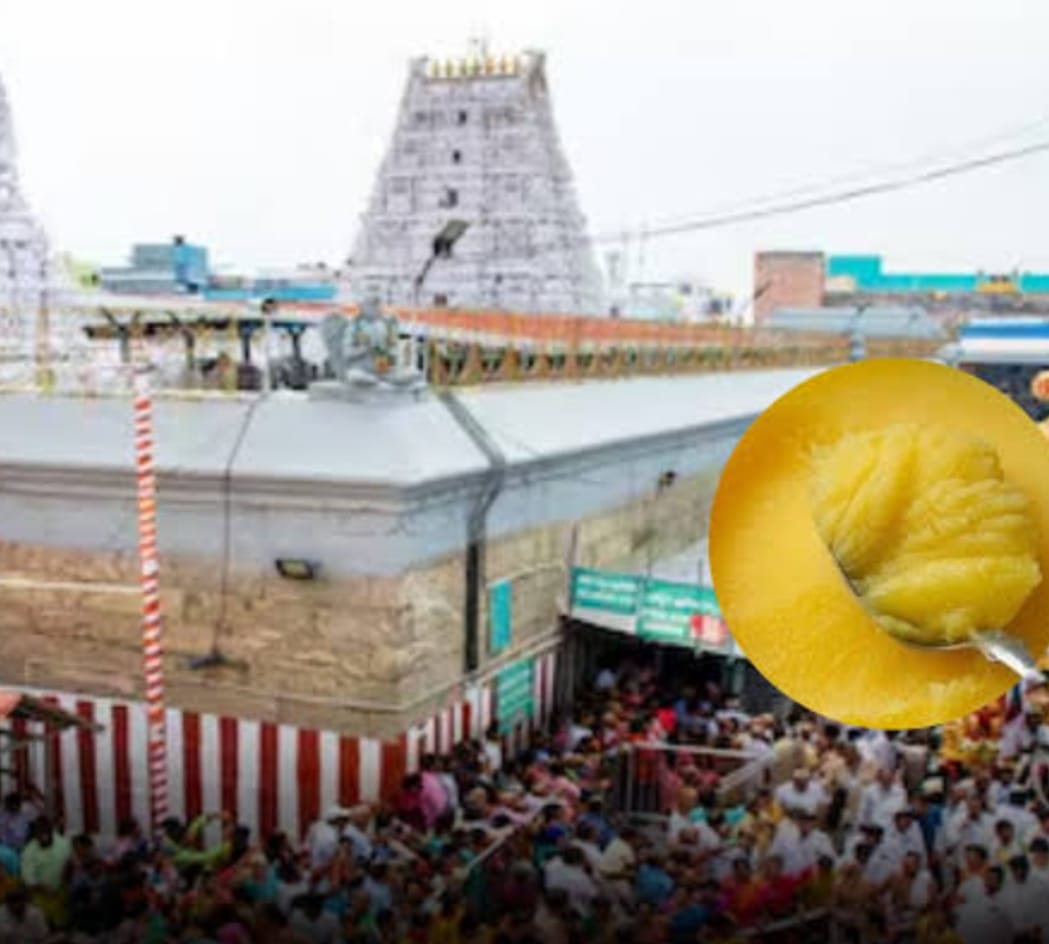 WhatsApp Image 2026-01-29 at 11.21.20 PM