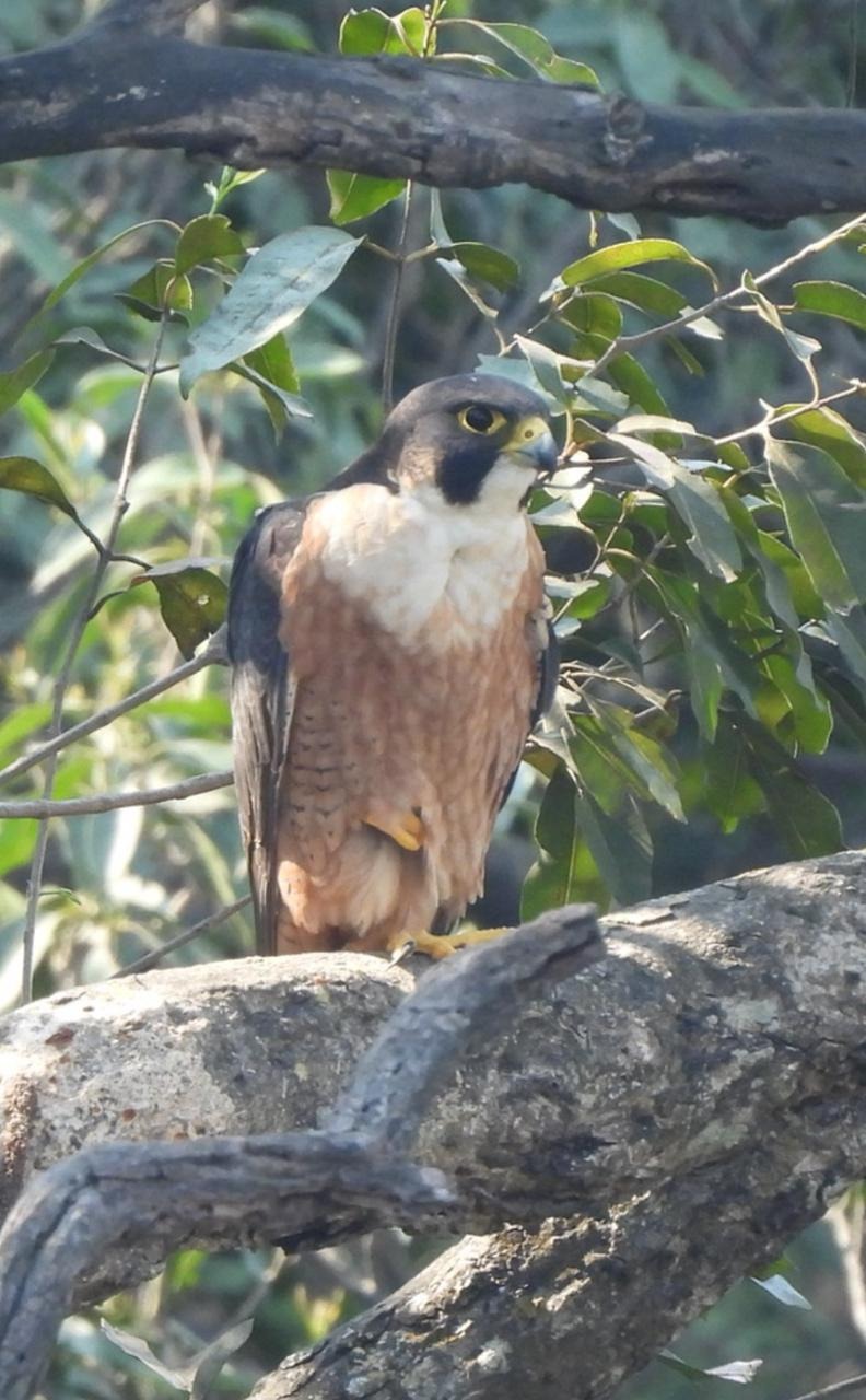 WhatsApp Image 2026 01 31 at 10.02.38 AM WhatsApp Image 2026 01 31 at 10.02.38 AM