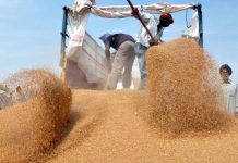कृषि उत्पाद के अवैध परिवहन पर अब राजसात होगी उपज, मंडी बोर्ड ने वर्षो पुराने नियमों में किया बदलाव