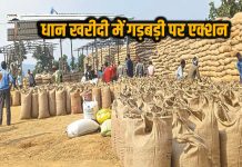 समर्थन मूल्य पर धान खरीदी में अनियमितता, 31 कर्मचारी निलंबित, 3 पर FIR, एक की सेवा समाप्ति