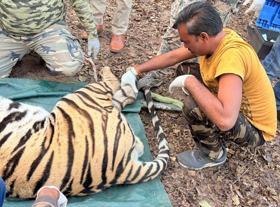 IMG 20260202 WA0241 IMG 20260202 WA0241