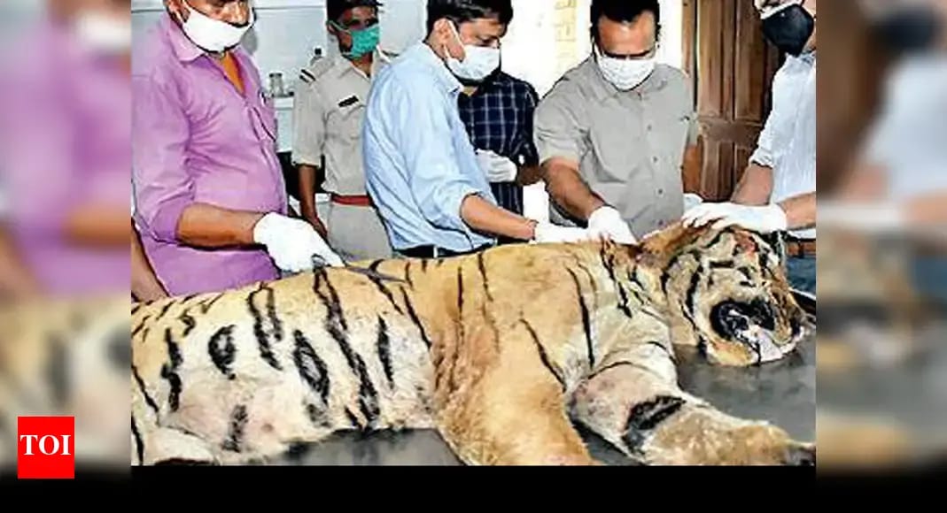 IMG 20260202 WA0242 IMG 20260202 WA0242