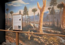 जब धरती पर जंगल नहीं थे, तब खड़ा था 26 फीट ऊंचा जीव: प्रोटो टैक्साइट्स की वैज्ञानिक कहानी