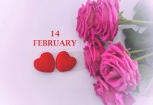 रोज डे से वैलेंटाइन डे: प्यार का फैशन और बर्बाद होती ज़िंदगी