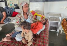 MP News: 4 साल के मासूम पर आवारा कुत्ते का जानलेवा हमला, सिर और चेहरे को जबड़े में दबाकर घसीटा, हालत गंभीर