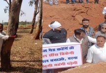 फिल्म सिटी के लिए पेड़ काटने के विरोध में गड्ढे में उतरे कांग्रेसी