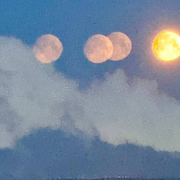 WhatsApp Image 2026 02 03 at 11.28.57 AM