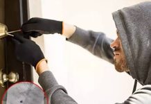 सरकारी क्वार्टर से लैपटॉप-टीवी चोरी की, खाना भी खाया, जाते-जाते दीवार पर लिख गया ‘धन्यवाद’