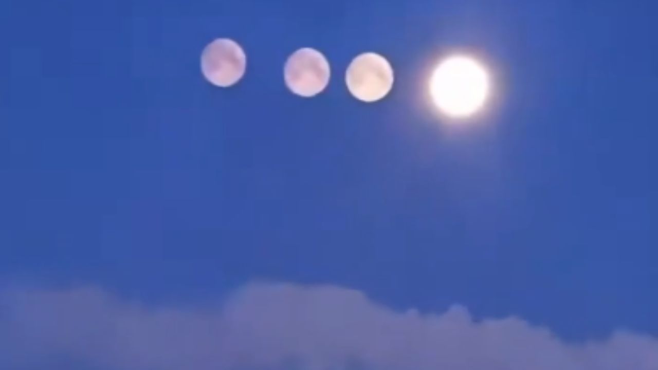 WhatsApp Image 2026 02 03 at 11.31.37 AM