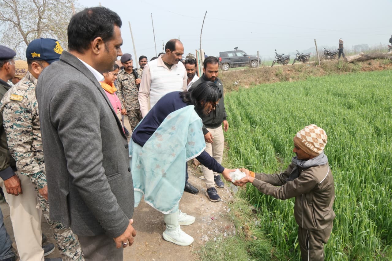 WhatsApp Image 2026-02-03 at 17.17.03 (1)