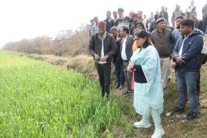 WhatsApp Image 2026 02 03 at 17.17.03 WhatsApp Image 2026 02 03 at 17.17.03