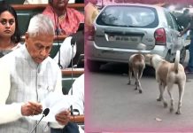 Bihar Economic Survey Alert : कुत्ता काटने के रोज 776 केस, साल में 2.8 लाख से ज्यादा पीड़ित