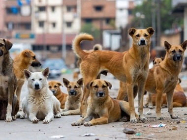 WhatsApp Image 2026 02 10 at 4.10.14 PM 1