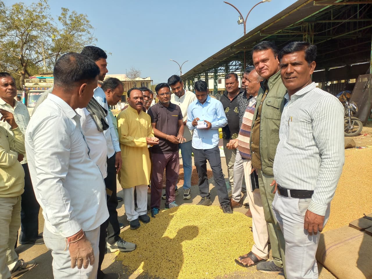 WhatsApp Image 2026 02 11 at 2.14.19 PM