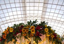 प्रसंगवश विशेष महाशिवरात्रि :- चार प्रहर की पूजा से — धर्म–अर्थ–काम–मोक्ष की सिद्धि