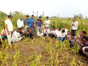 WhatsApp Image 2026 02 13 at 19.34.45