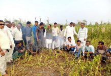 ओलावृष्टि से प्रभावितों को बारह दिनों बाद भी मुआवजा नहीं मिलने पर किसानों, ग्रामीणों और कांग्रेस का पीड़ित किसानों के साथ खेत में धूप, ध्यान कर बारहवीं कर किया क्रिया कर्म का अनूठा प्रदर्शन