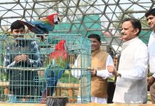 Mukundpur Zoo: विदेशी पक्षियों से एवियारी हुआ गुलजार, उप मुख्यमंत्री शुक्ल ने किया निरीक्षण