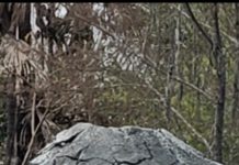 अनूठा ज्वालामुखी..जिसके साथ ले सकते हैं सेल्फी!!