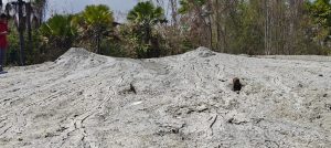 WhatsApp Image 2026 02 27 at 16.18.52 1