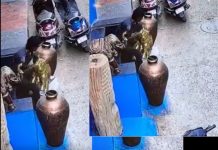 Elephant Stolen from Handicraft Showroom: 50 हजार रुपए के भारी-भरकम हाथी को बोरी में भर कर कंधे पर उठा ले गया चोर ,देखिये वीडियो