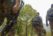 आत्मसमर्पण करने वाले कई नक्सलियों को नहीं मिल पा रही प्रोत्साहन राशि, अफसर जुटे दस्तावेज बनवाने में