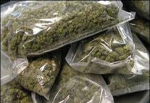 महिला तस्कर से पकड़ा 3.10 लाख रुपए का 10 किलो गांजा