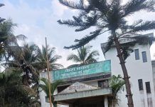 तटीय क्षेत्र से दूर छत्तीसगढ़ के कोपाबेड़ा में भी हो रही नारियल की खेती… और मन मोह लेता है चित्रकोट जलप्रपात…