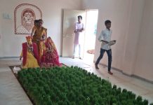 चैत्र नवरात्र और जवारे का महत्त्व: आइये जानते हैं बाड़ी क्यों बोई जाती है ?