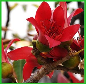 51MWaoYYSQL. AC UF10001000 QL80 51MWaoYYSQL. AC UF10001000 QL80