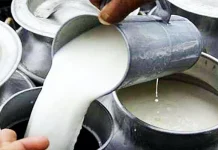Milk Price Hike: मध्यप्रदेश में 1 अप्रैल से खुला दूध महंगा, 5 रुपये लीटर तक बढ़ सकती है कीमत