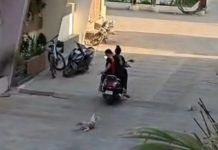 Animal Cruelty By Women : रतलाम में कुत्ते के पिल्ले को रस्सी से बांध 2 महिलाओं ने स्कूटी से घसीटा!