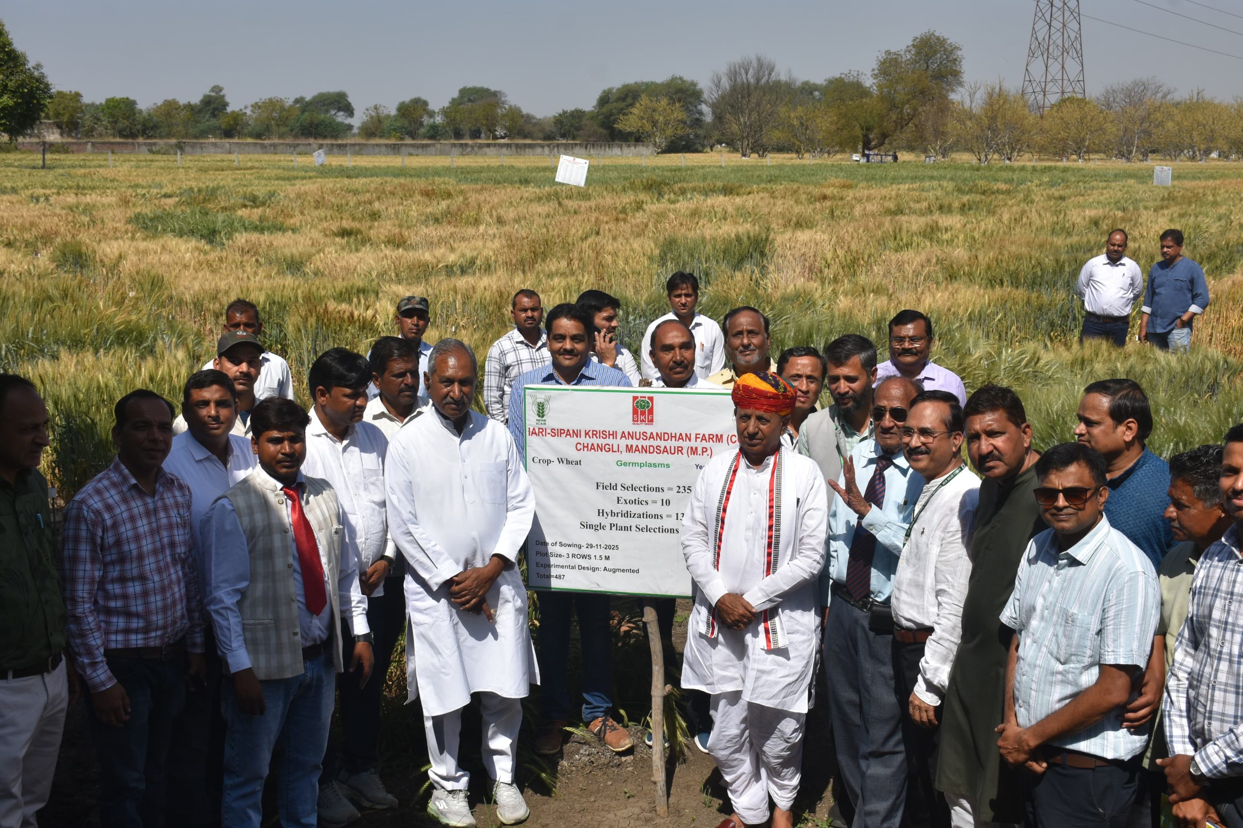 IMG 20260314 WA0049 scaled