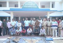 Big Action of Forest Department: डिप्टी रेंजर सहित 9 आरोपी गिरफ्तार- खाल बेचने के फिराक में थे!